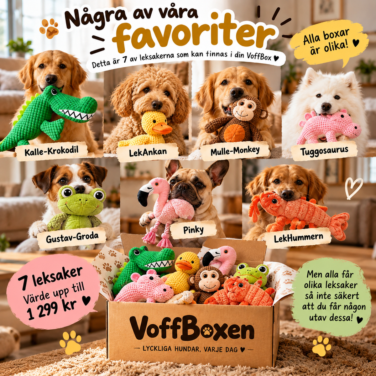 VoffBoxen™ – Öppna. Lek. Voff! 🐾