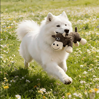 Kossan Doris™ - Din hunds nya favoritkompis
