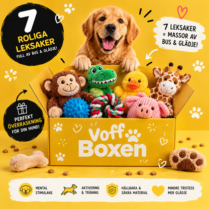 VoffBoxen™ – Öppna. Lek. Voff! 🐾